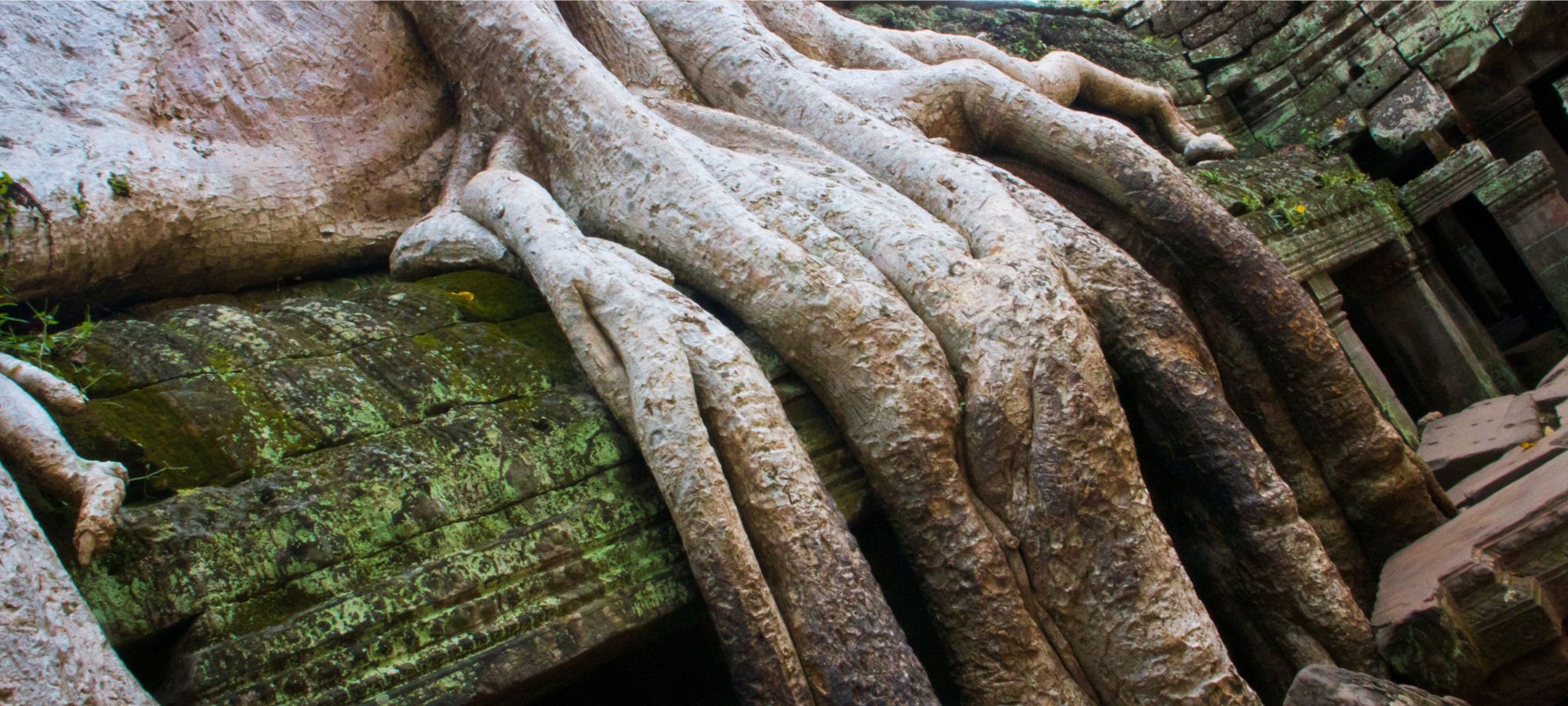 Photos from our Cambodia Cycling Holiday
