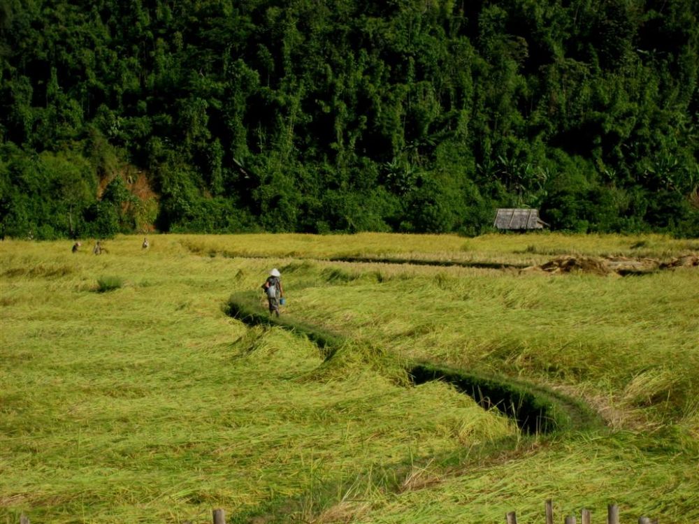 Laos - Laung Prabang to Vientiane