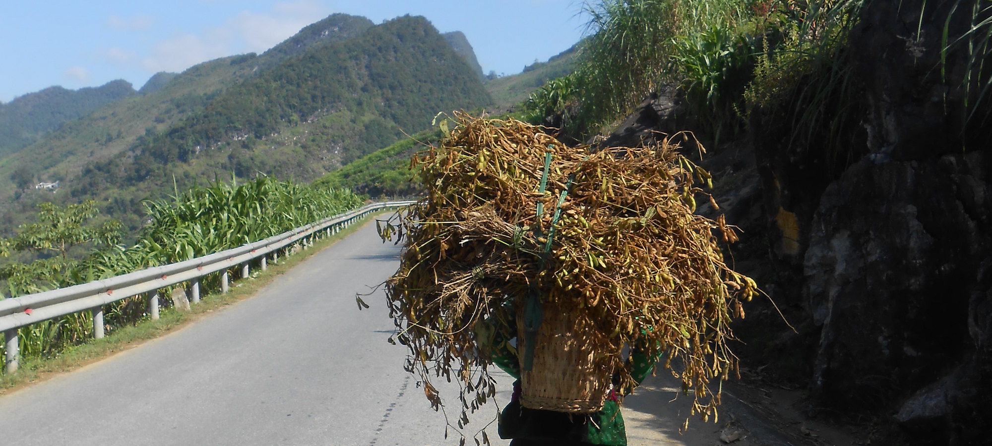 Vietnam Cycling Tours