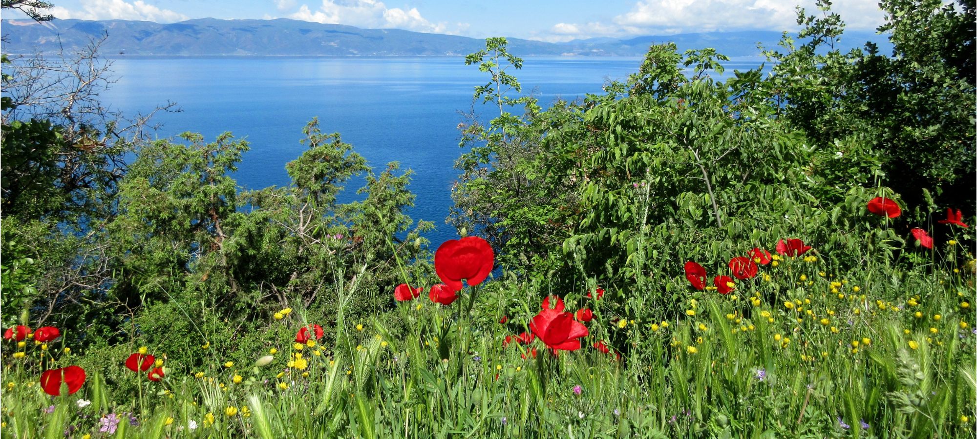 Cycling Holidays Albania