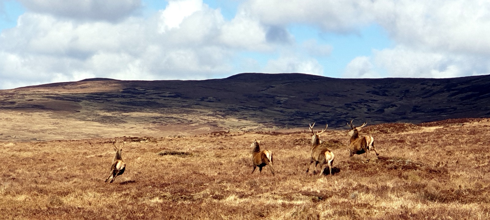 Cycling Tours Scotland - redspokes