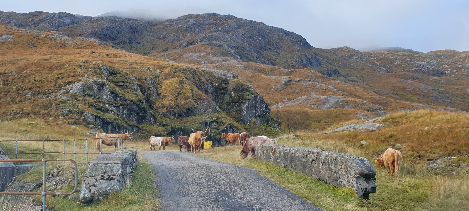  Mountain Biking Scotland