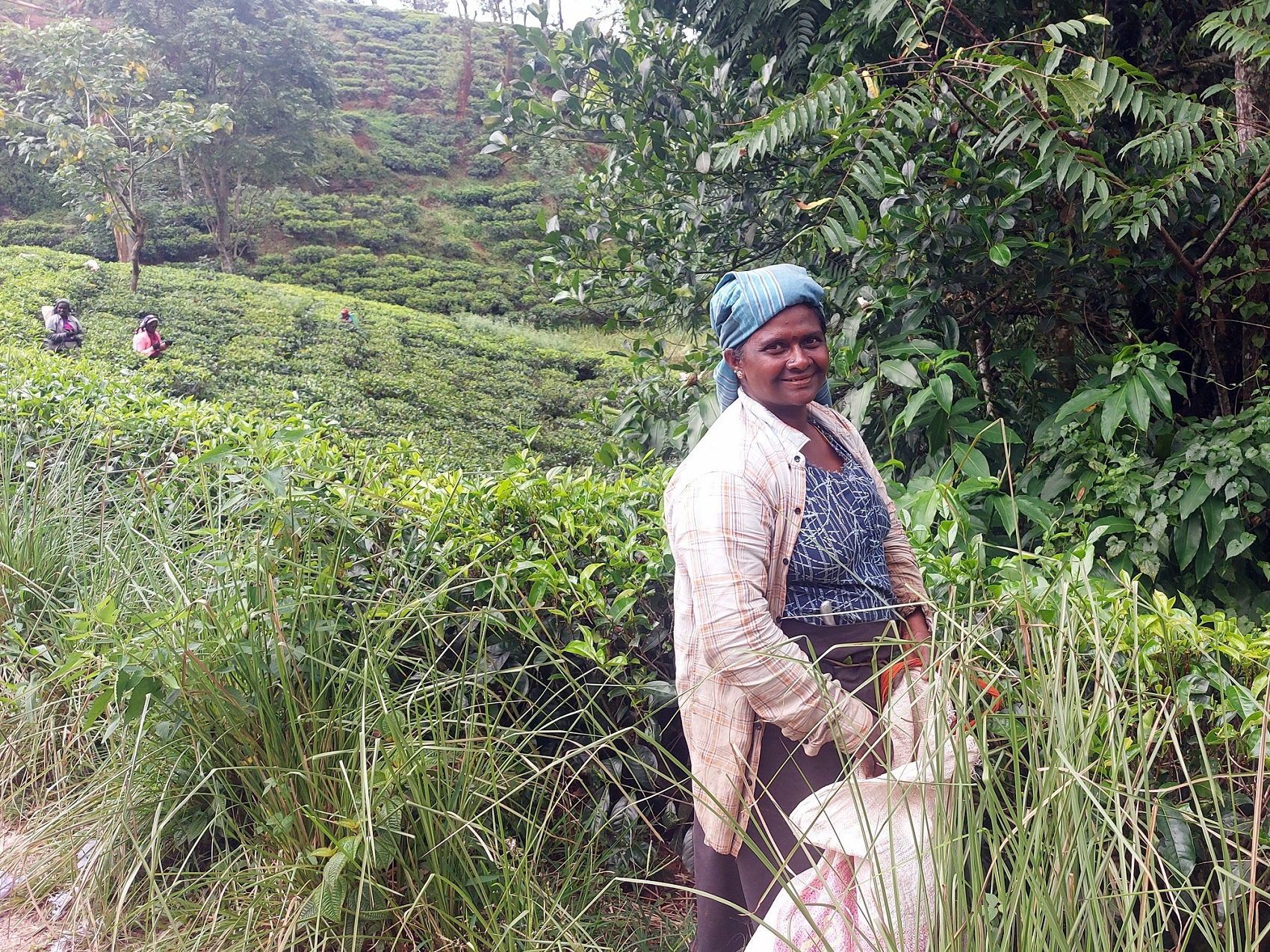 Photos from our Sri Lanka - Classic Cycling Holiday