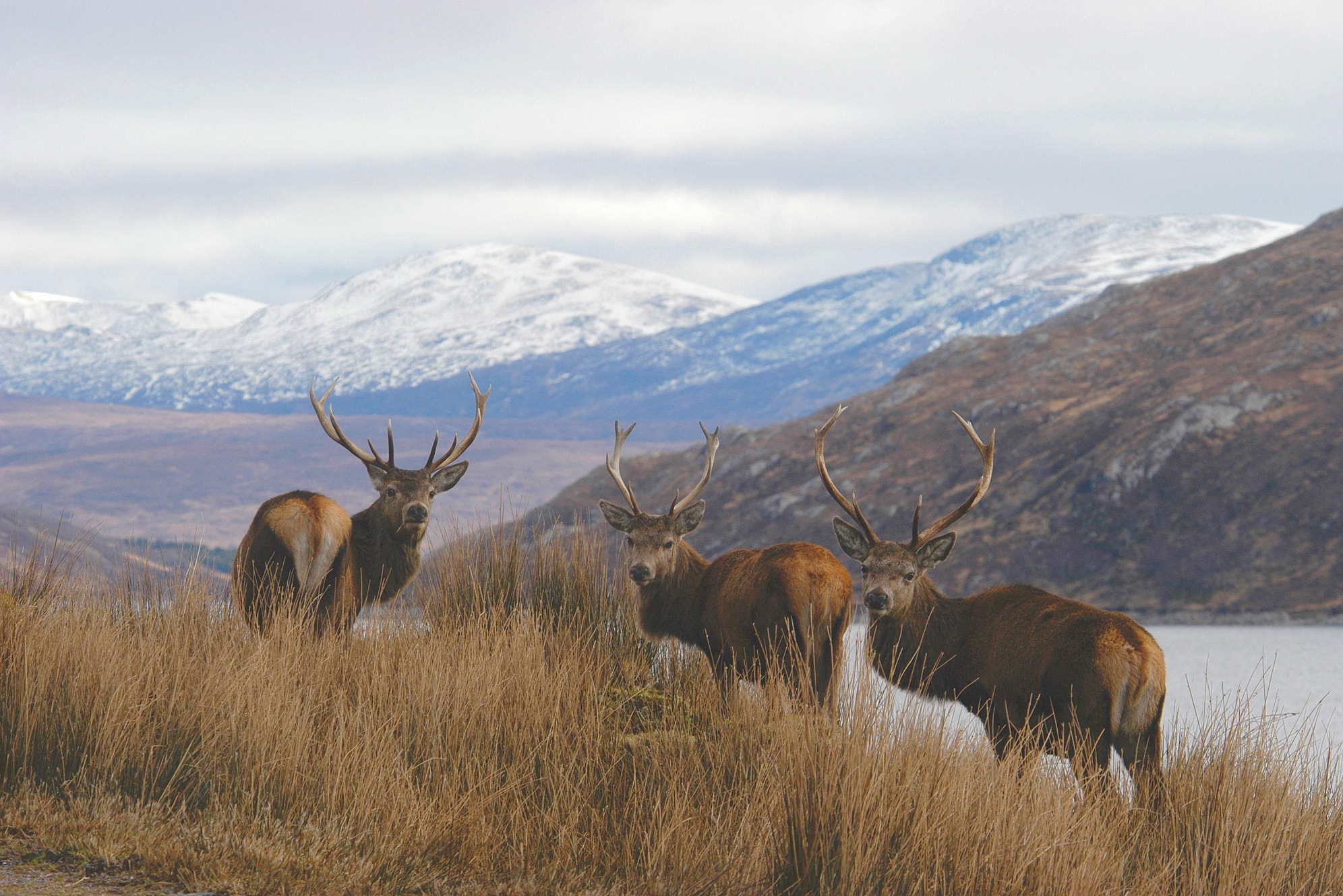 Photos from our The Wild West Cycling Holiday