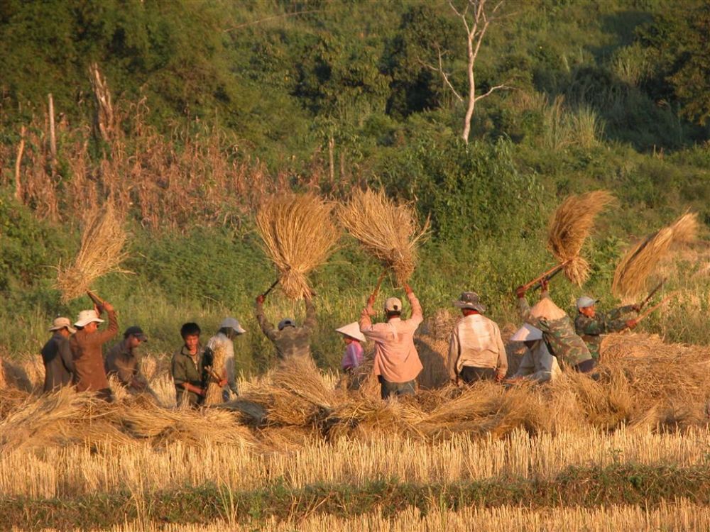 Laos - Laung Prabang to Vientiane