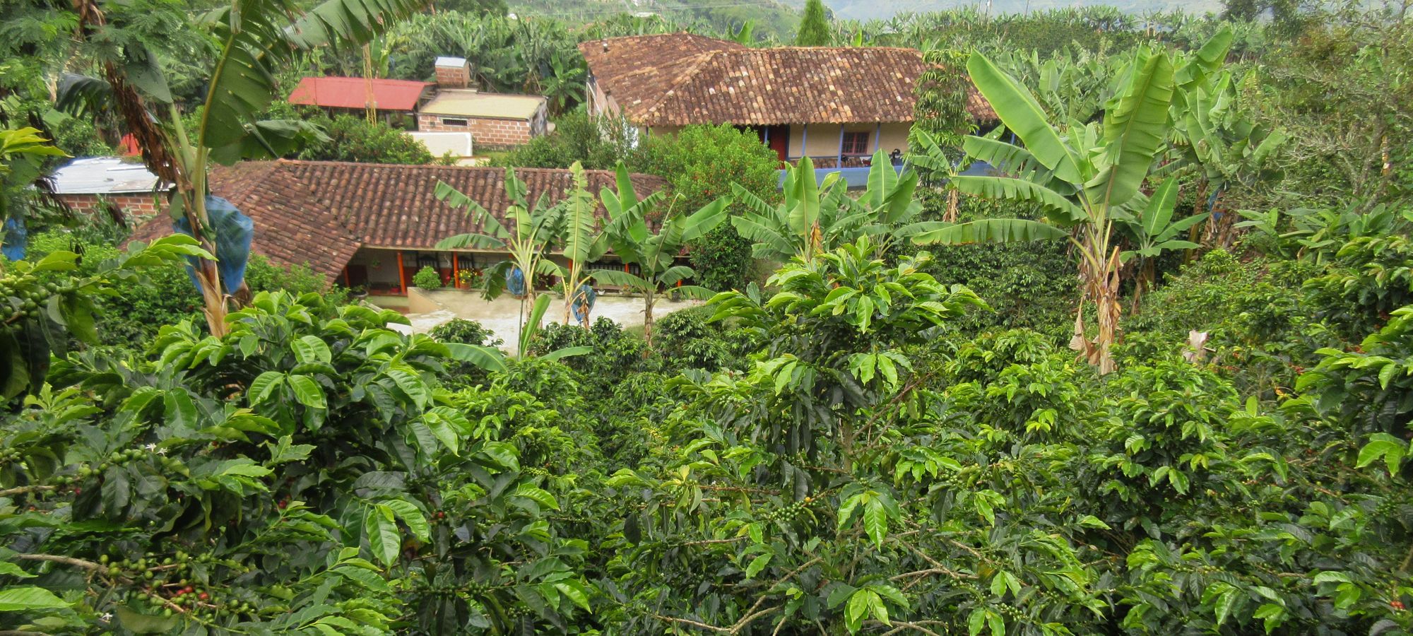 Photos from our Colombia  Cycling Holiday