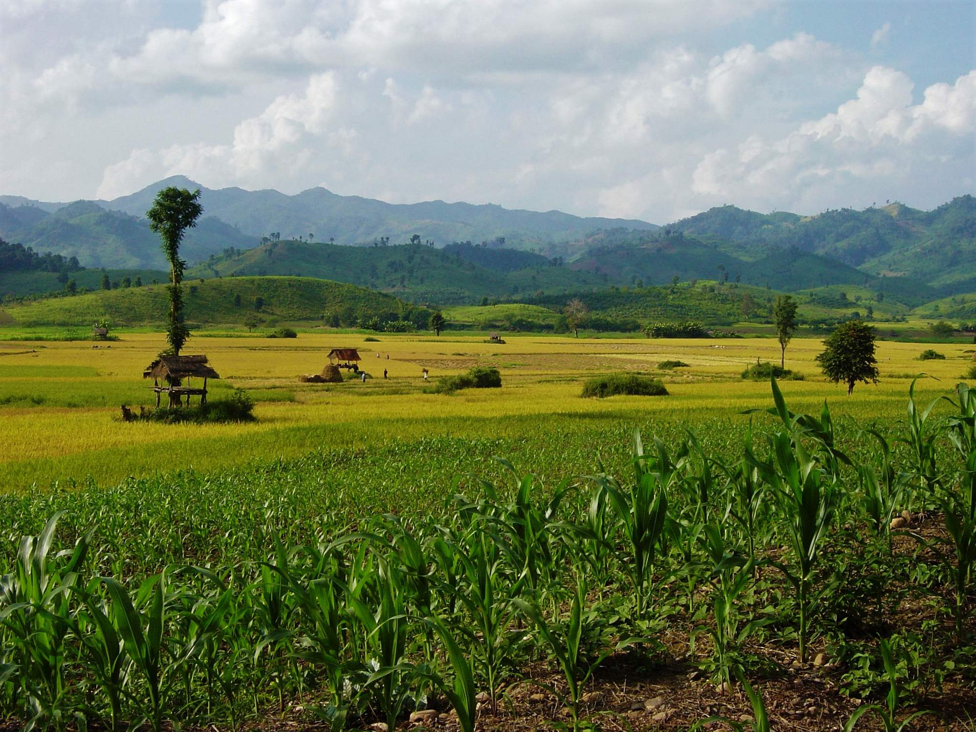 cycling Vang Vieng to Kasi