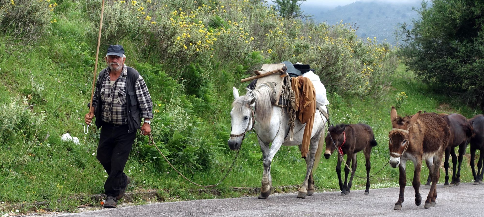Cycling Tours Albania