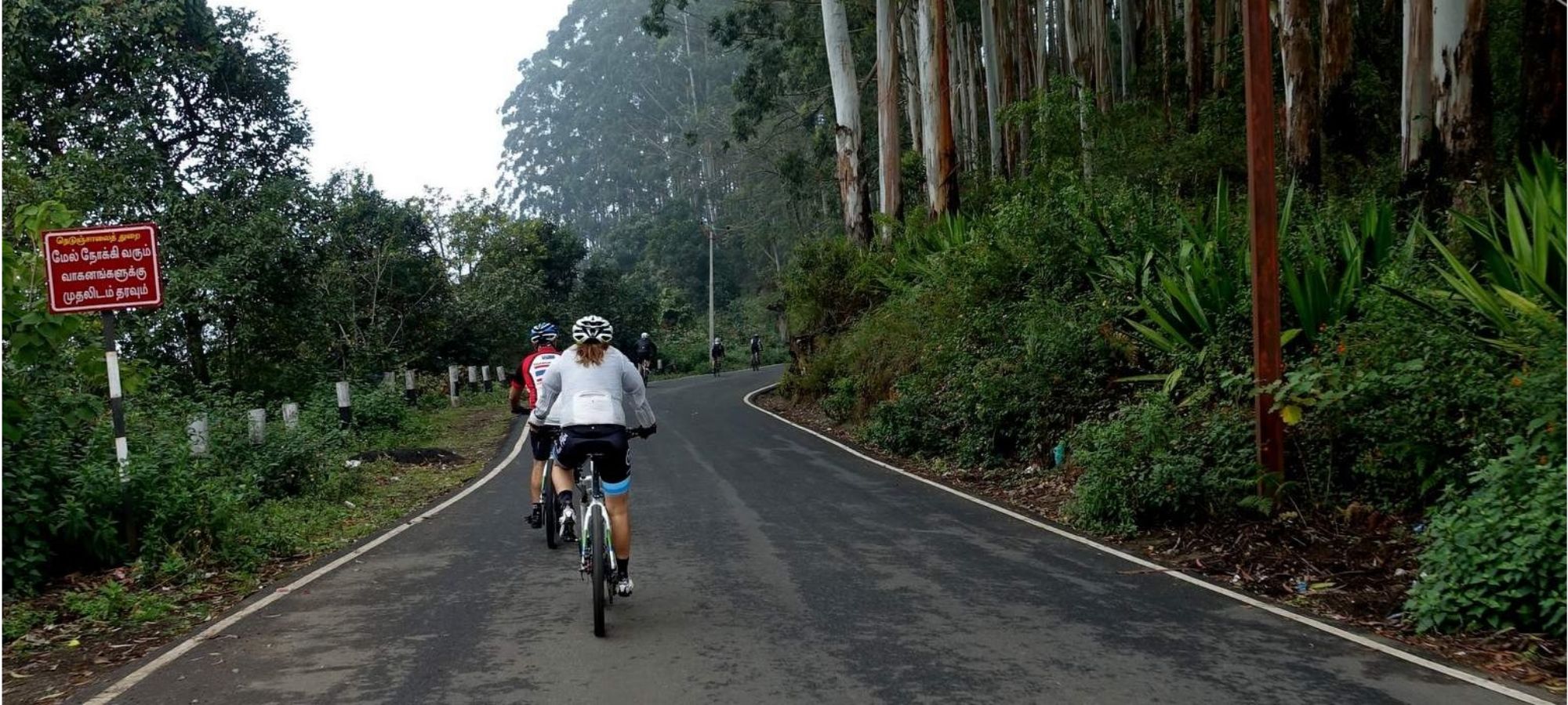 Cycling Holidays - Kerala - Tamil Nadu 