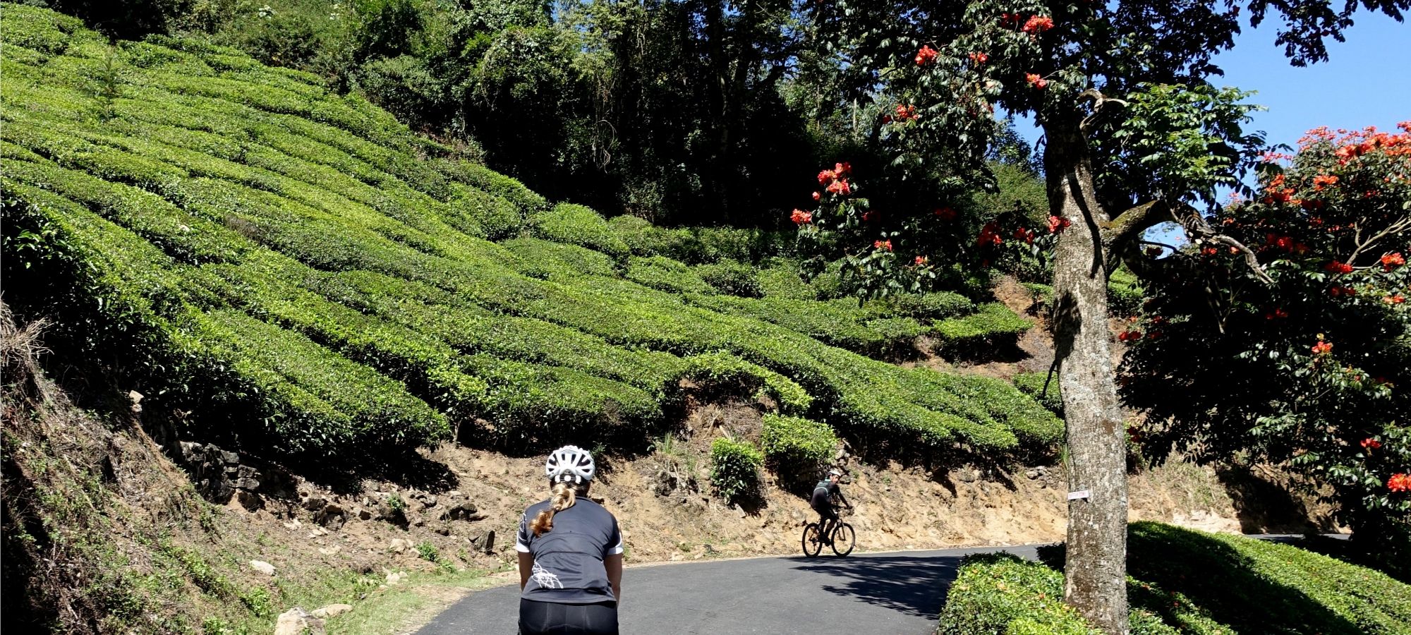 Photos from our India - Kerala Cycling Holiday