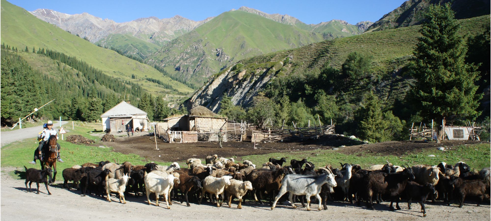 Cycling Holidays Kyrgyzstan