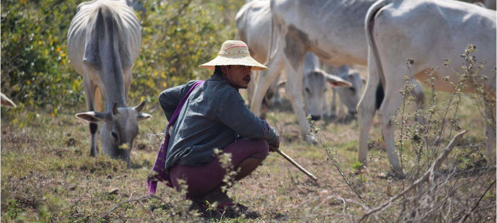 cycling holidays Myanmar