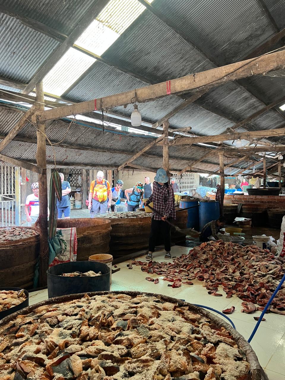 Photos from our Cambodia to Vietnam Cycling Holiday