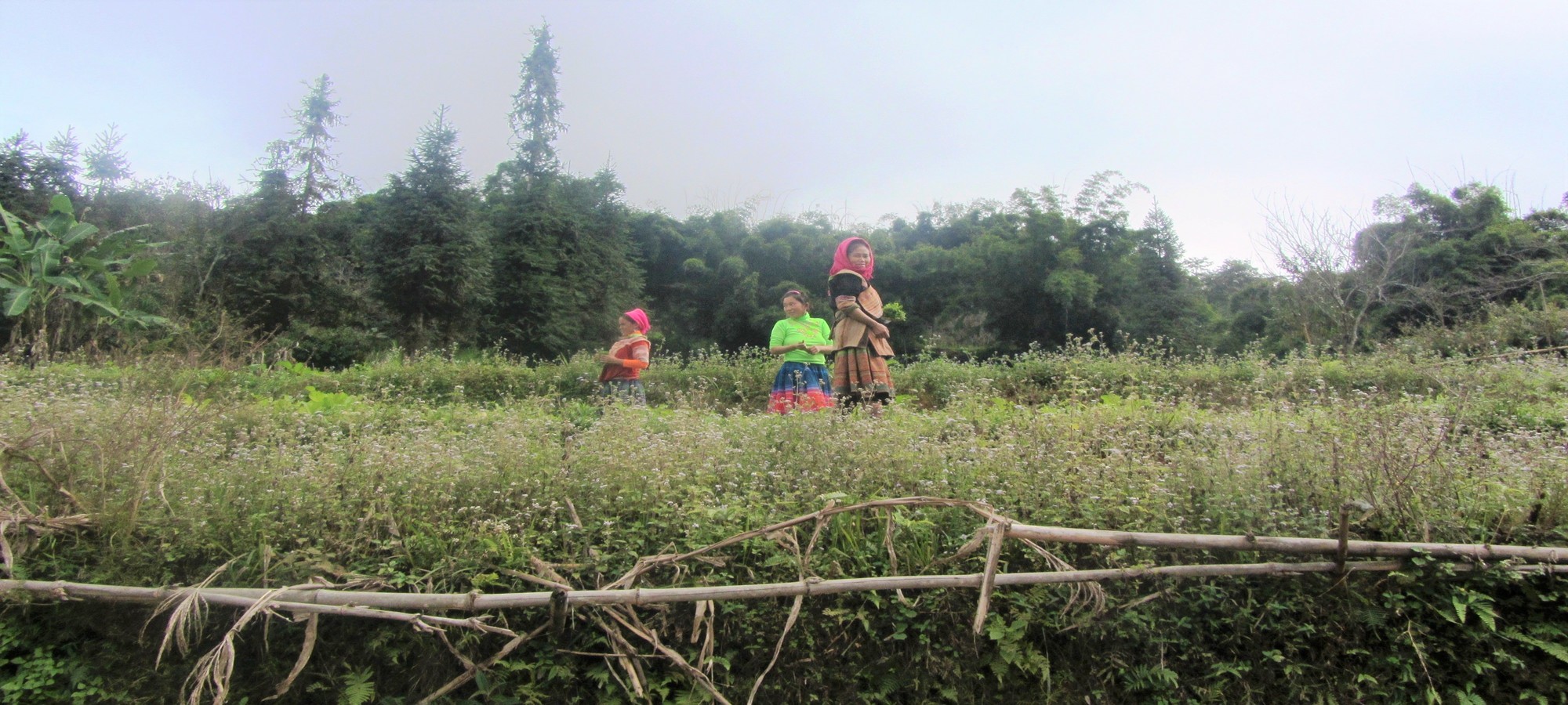 Photos from our Vietnam N.E Cycling Holiday