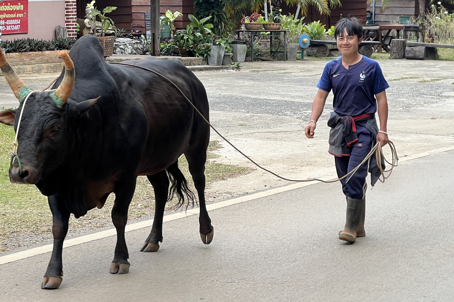 Northern Thailand