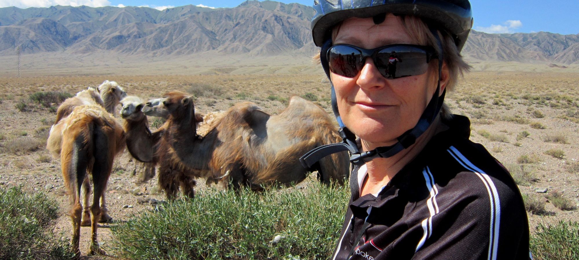 Bactrian camel - Kyrgyzstan