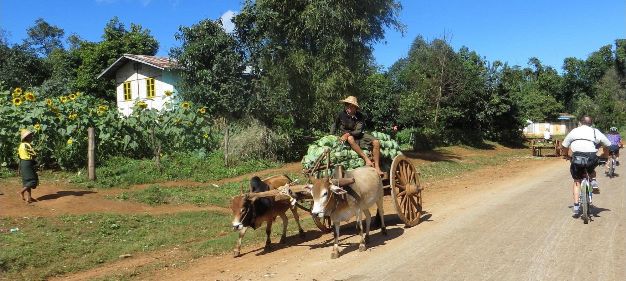 Photos from our Burma - Mountains, Beaches & Stupas Cycling Holiday