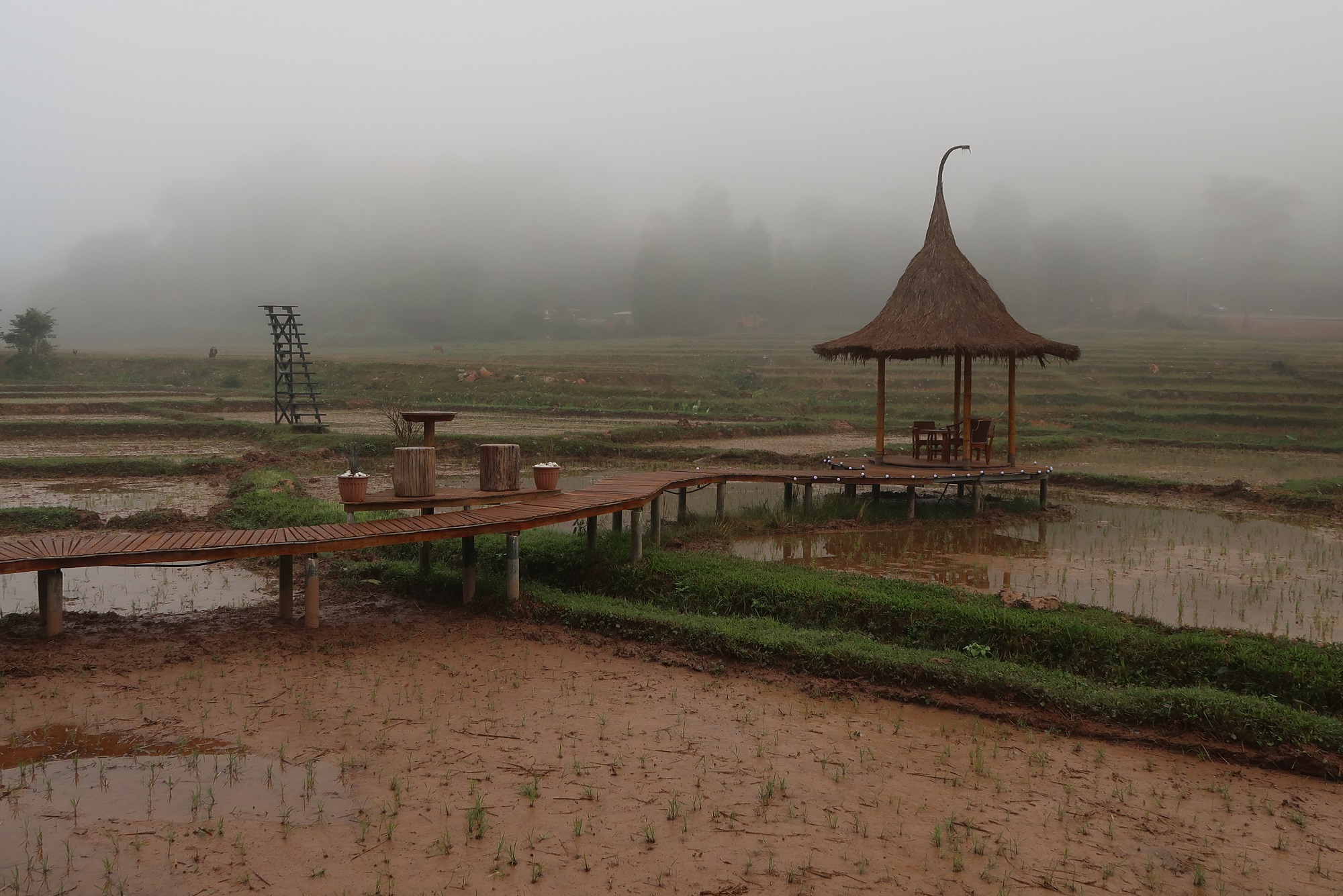 cycling Holidays Thailand