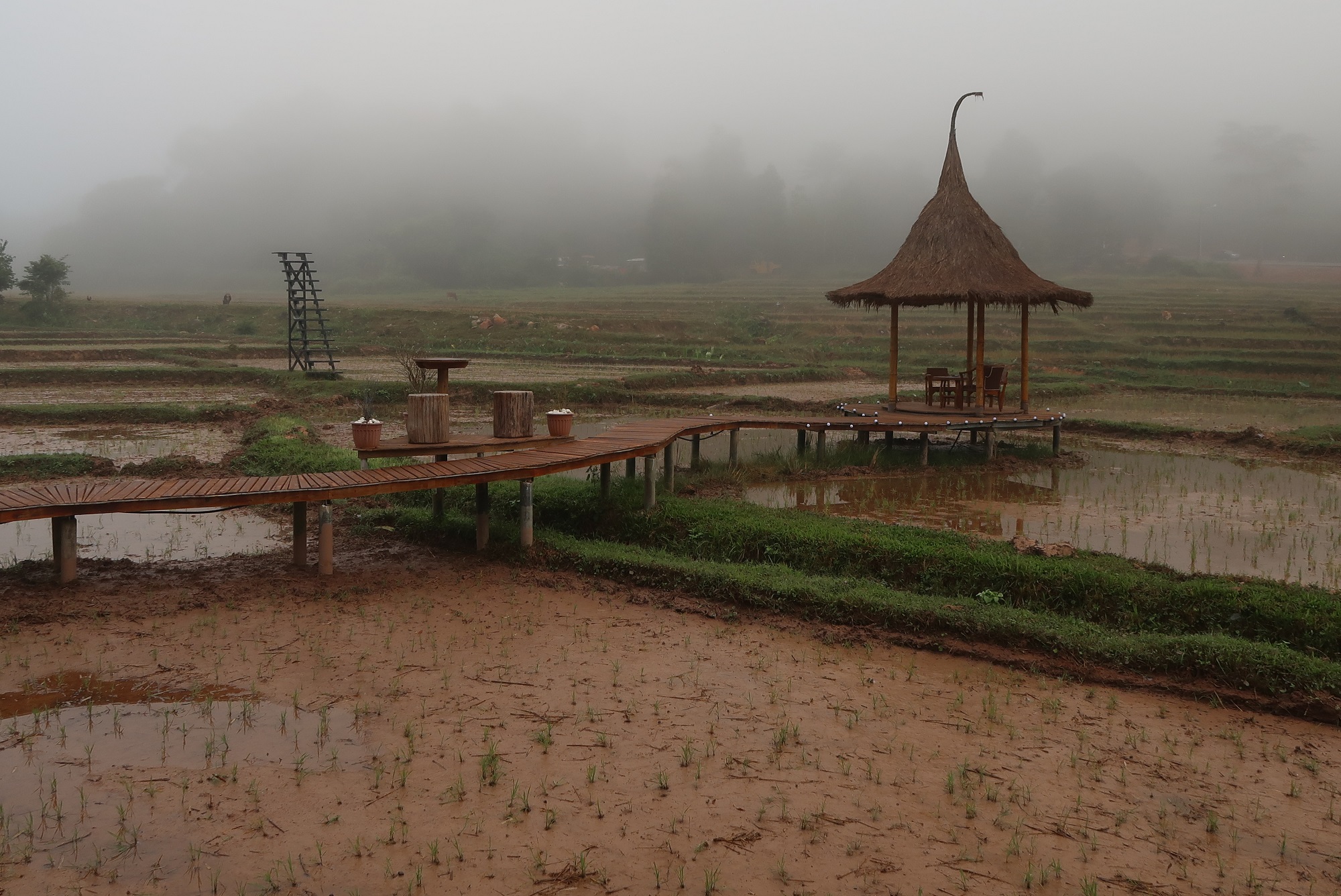 Photos from our North Thailand Cycling Holiday