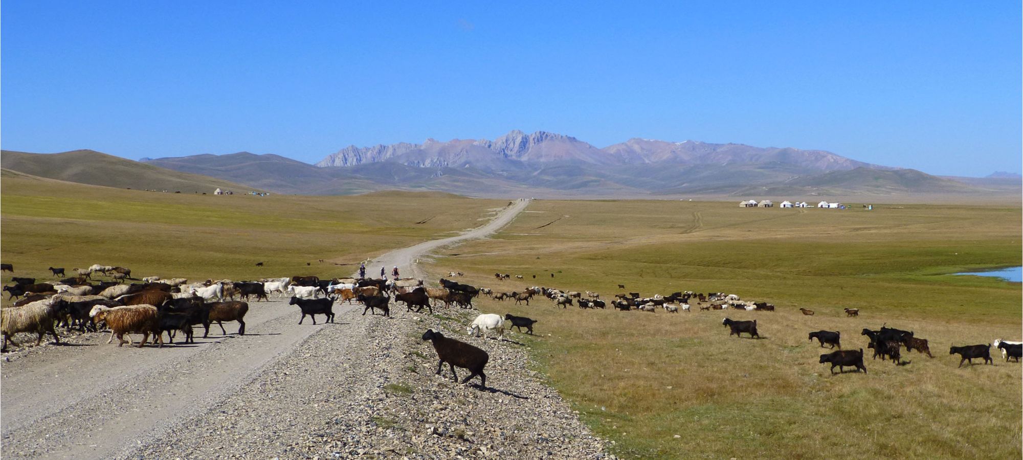 Cycling Holidays Kyrgyzstan