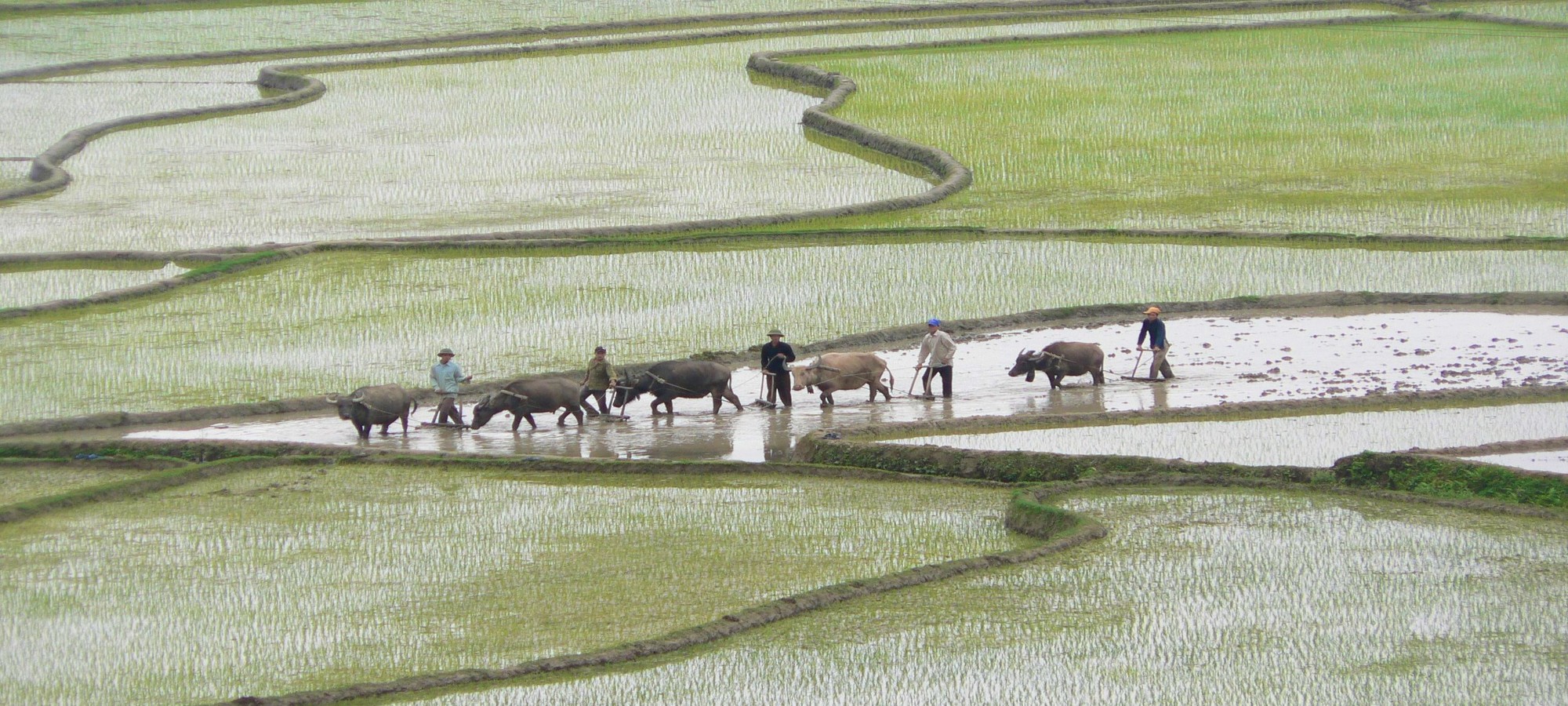 Cycling Holidays Vietnam