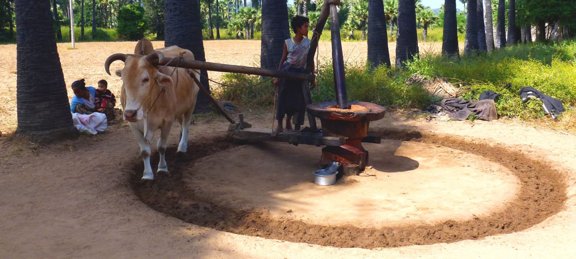 Photos from our Burma - Mountains, Beaches & Stupas Cycling Holiday