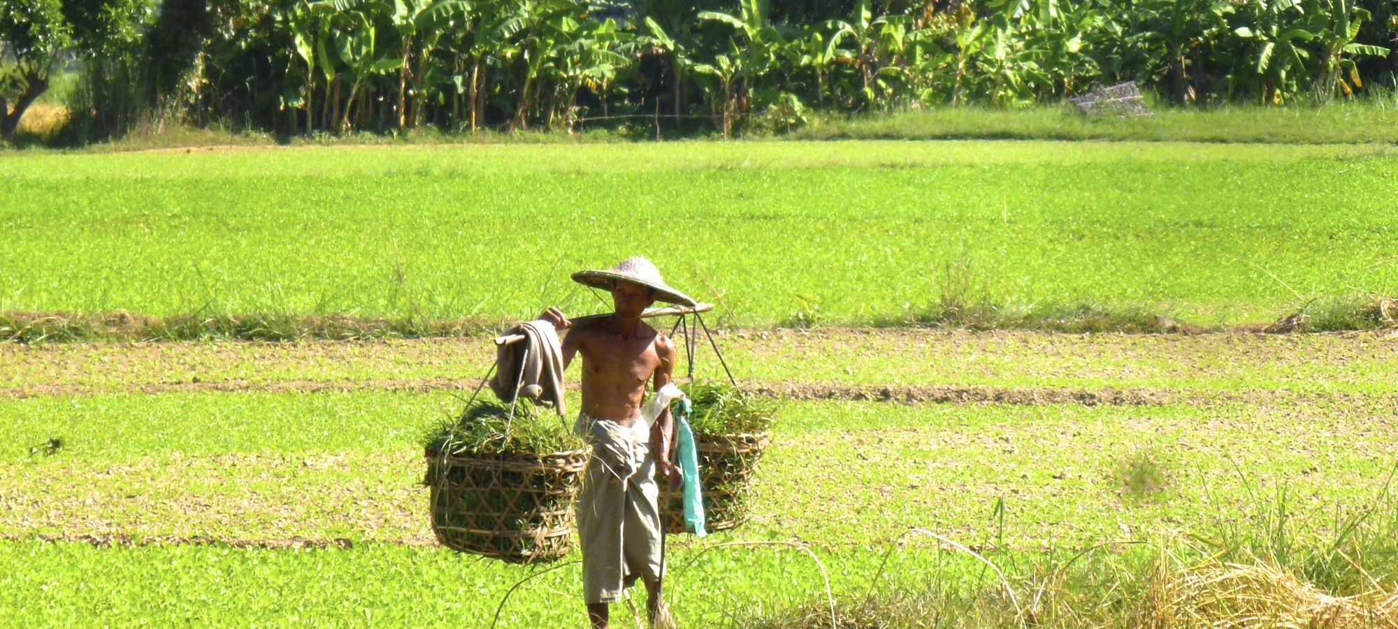 cycling holidays Myanmar