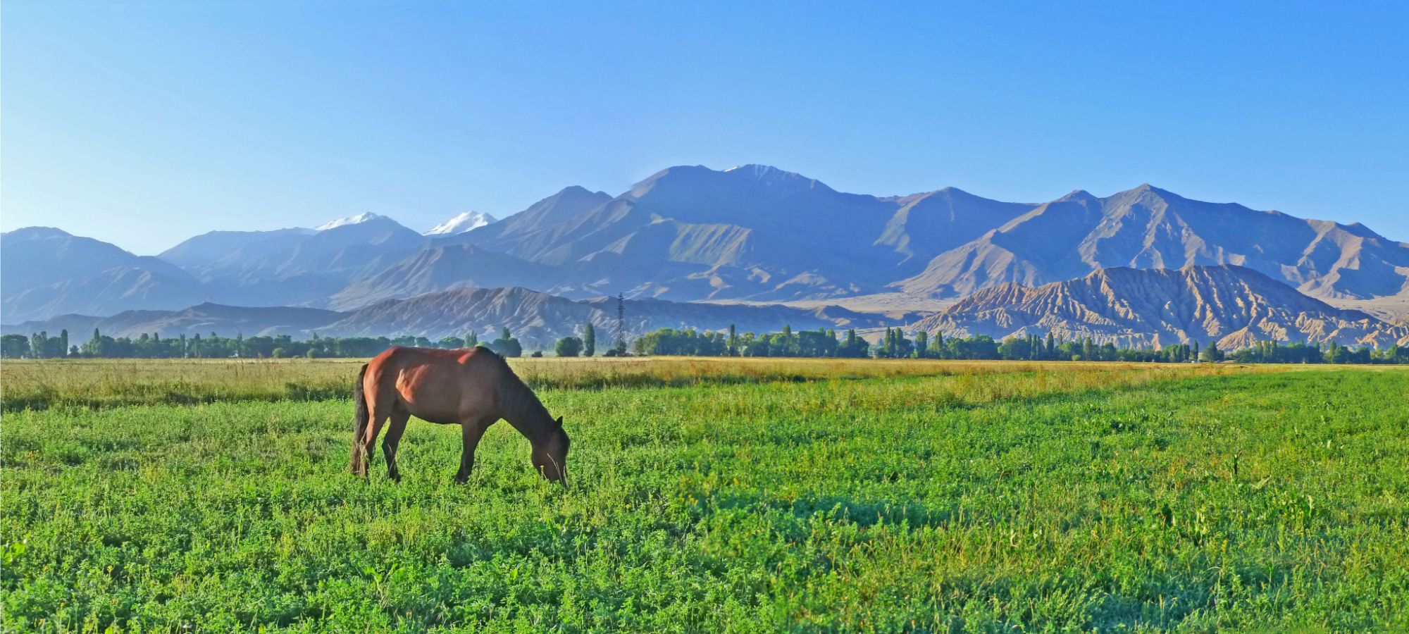 Cycling Holidays Kyrgyzstan