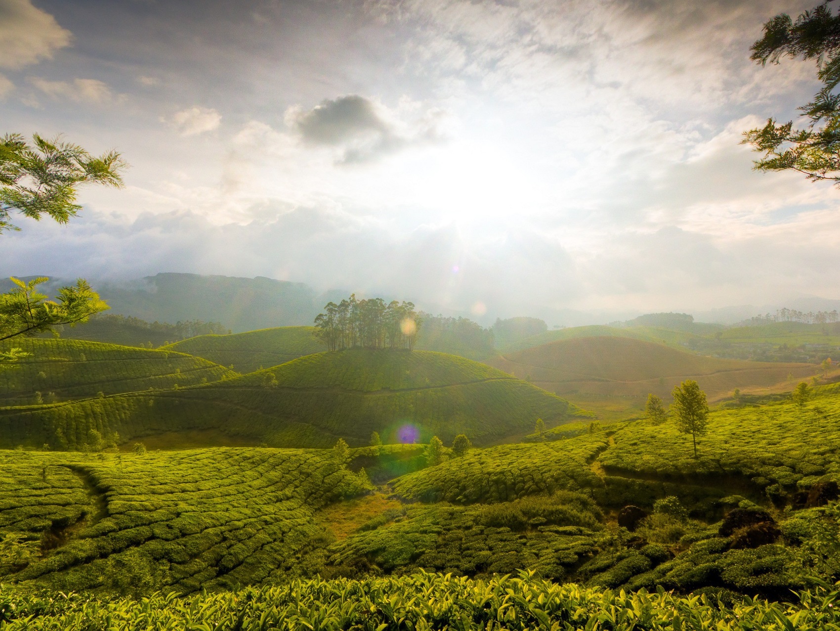 Photos from our Sri Lanka - Classic Cycling Holiday