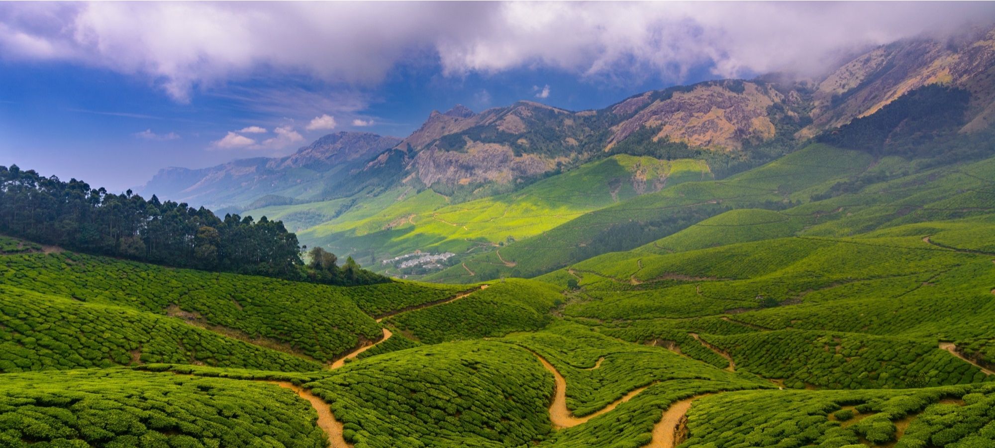 Cycling Holidays - Kerala - Tamil Nadu 