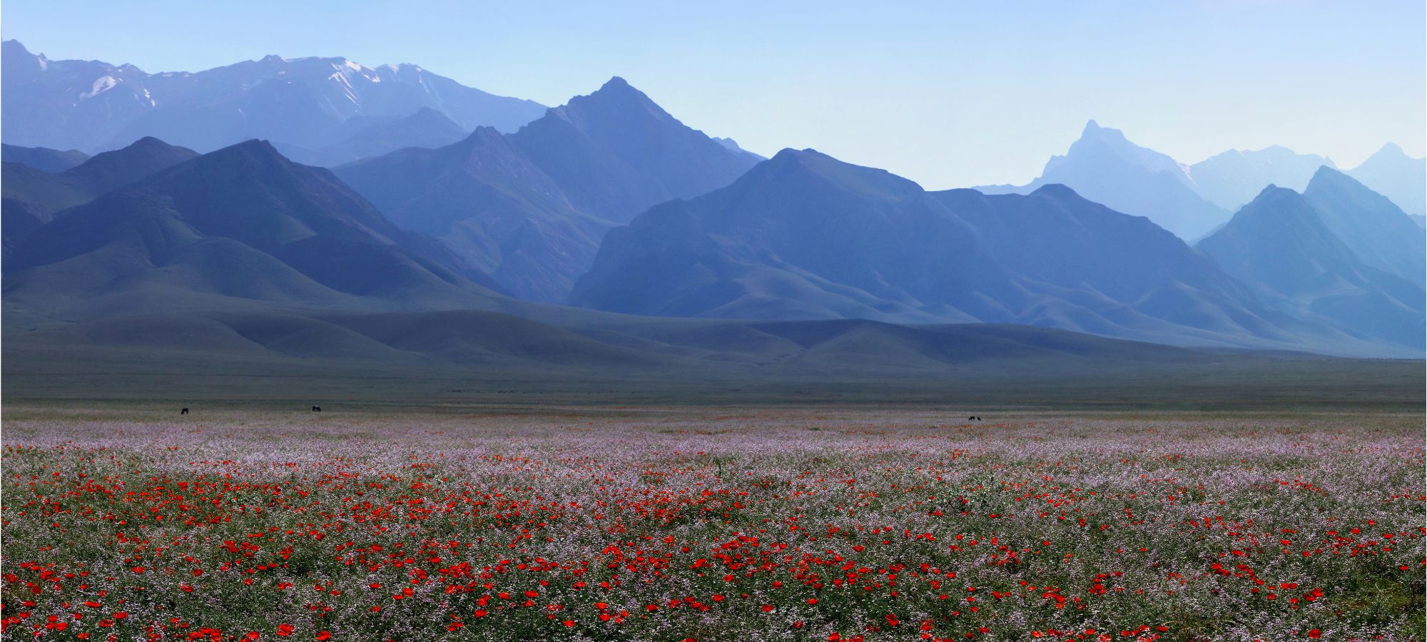 Cycling holidays Uzbekistan
