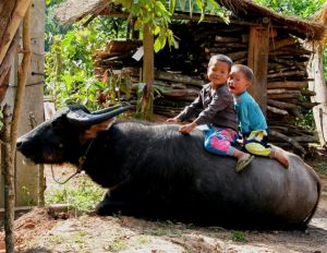 View All Photos for redspokes' Laos - Laung Prabang to Vientiane Cycling Holiday Tour