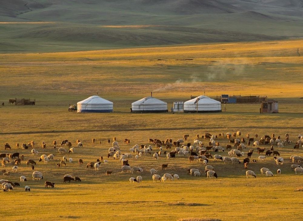 Cycle Mongolia on the Mongolia Gobi cycling tour