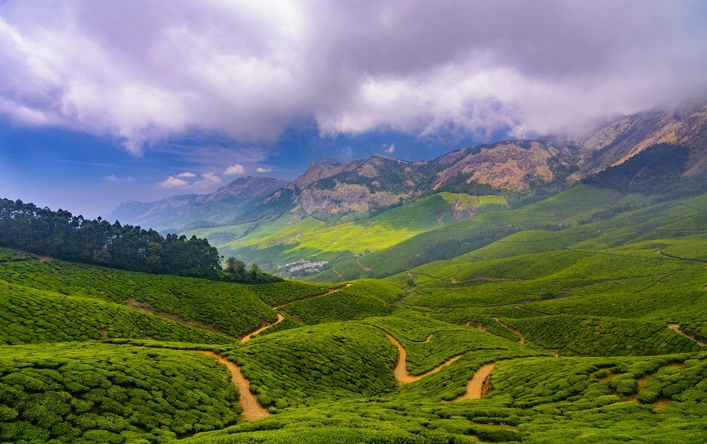 Cycle India on the India - Kerala cycling tour
